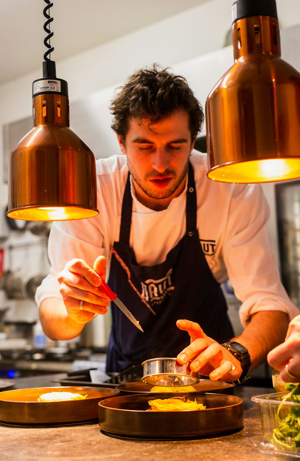 Chef Jacques Pepin style plating French cuisine